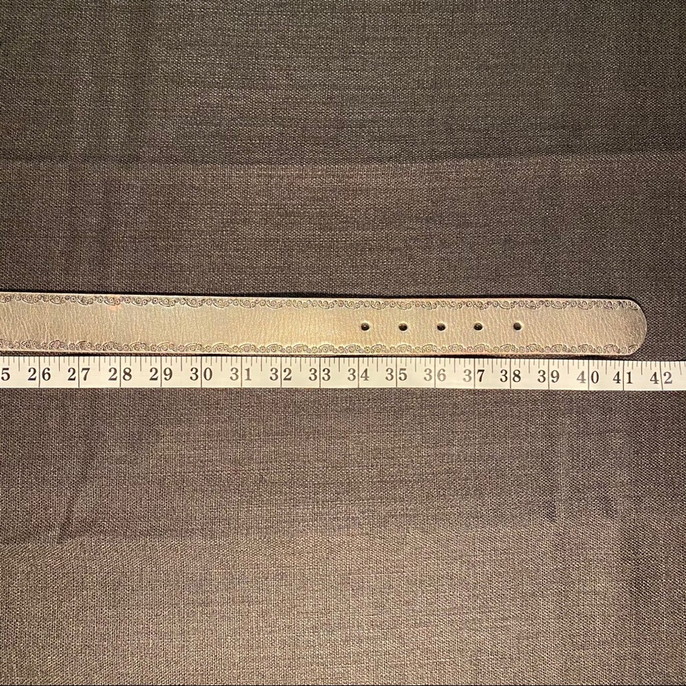 Fossil Belt - Picture 8 of 8